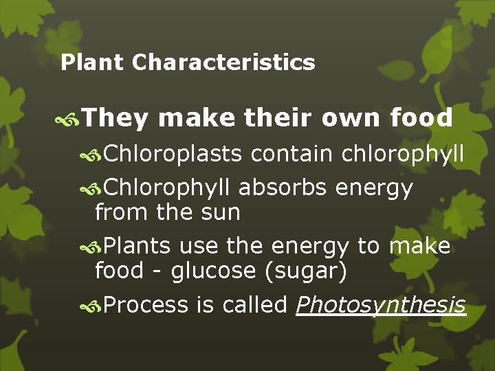 Plant Characteristics They make their own food Chloroplasts contain chlorophyll Chlorophyll absorbs energy from