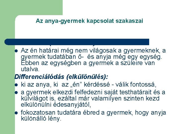 Az anya-gyermek kapcsolat szakaszai Szimbiózis (összeolvadás): l Az én határai még nem világosak a