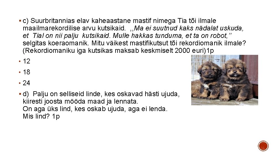 § c) Suurbritannias elav kaheaastane mastif nimega Tia tõi ilmale maailmarekordilise arvu kutsikaid. ,