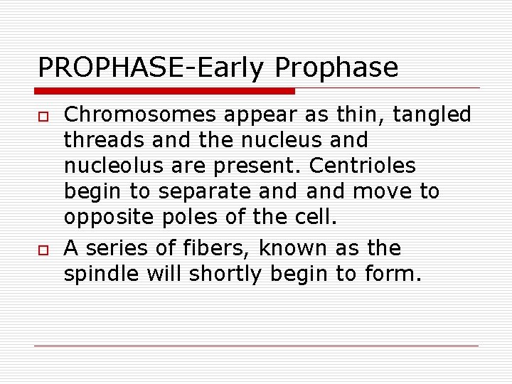 PROPHASE-Early Prophase o o Chromosomes appear as thin, tangled threads and the nucleus and