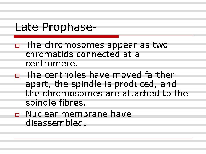 Late Prophaseo o o The chromosomes appear as two chromatids connected at a centromere.