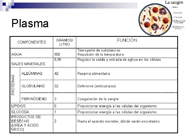 Plasma 