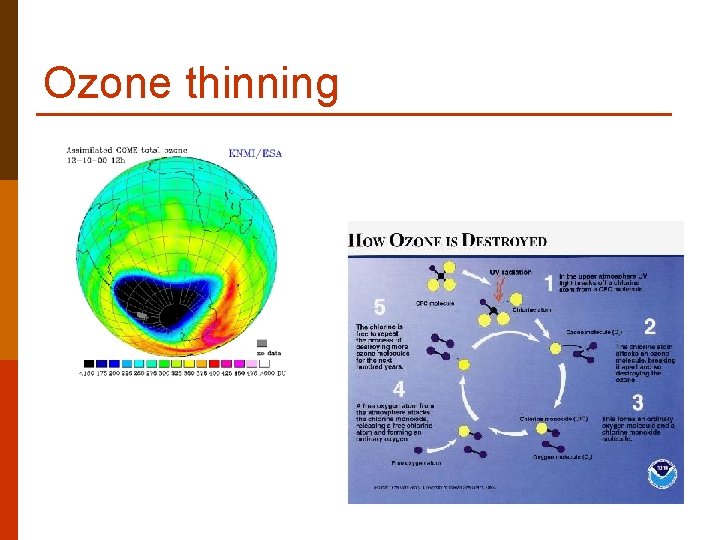 Ozone thinning 