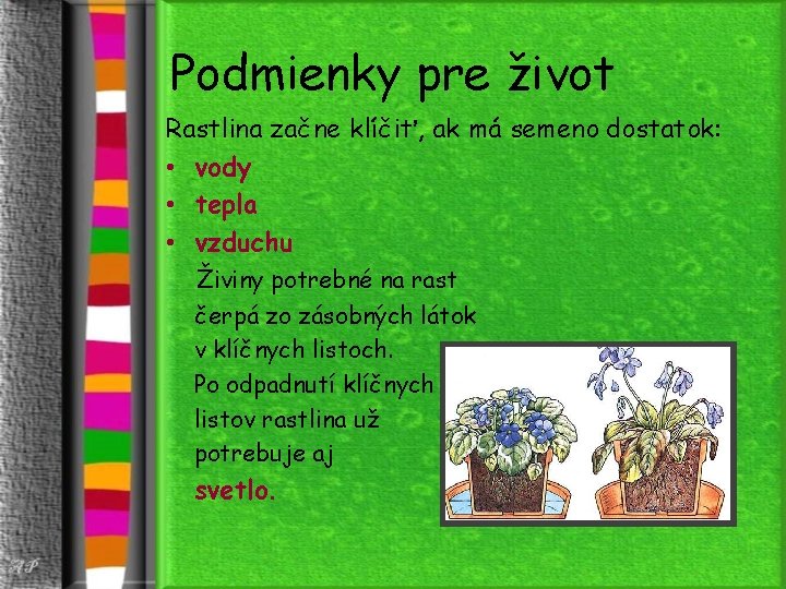 Podmienky pre život Rastlina začne klíčiť, ak má semeno dostatok: • vody • tepla