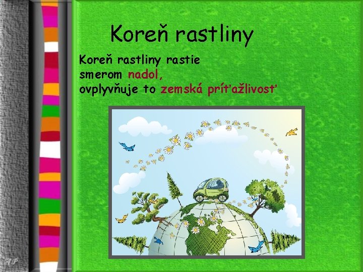 Koreň rastliny rastie smerom nadol, ovplyvňuje to zemská príťažlivosť 