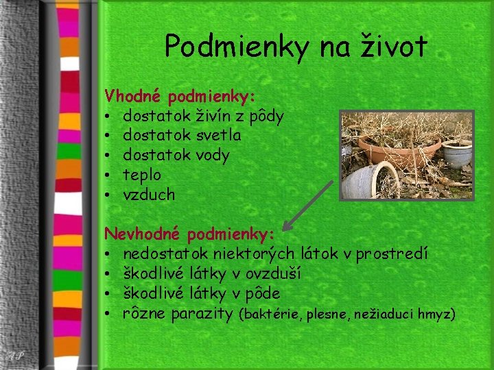 Podmienky na život Vhodné podmienky: • dostatok živín z pôdy • dostatok svetla •