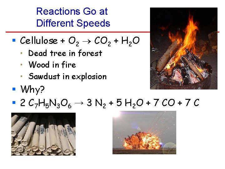 Reactions Go at Different Speeds § Cellulose + O 2 CO 2 + H Reactions Go at Different Speeds § Cellulose + O 2 CO 2 + H