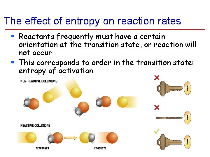 The effect of entropy on reaction rates § Reactants frequently must have a certain The effect of entropy on reaction rates § Reactants frequently must have a certain
