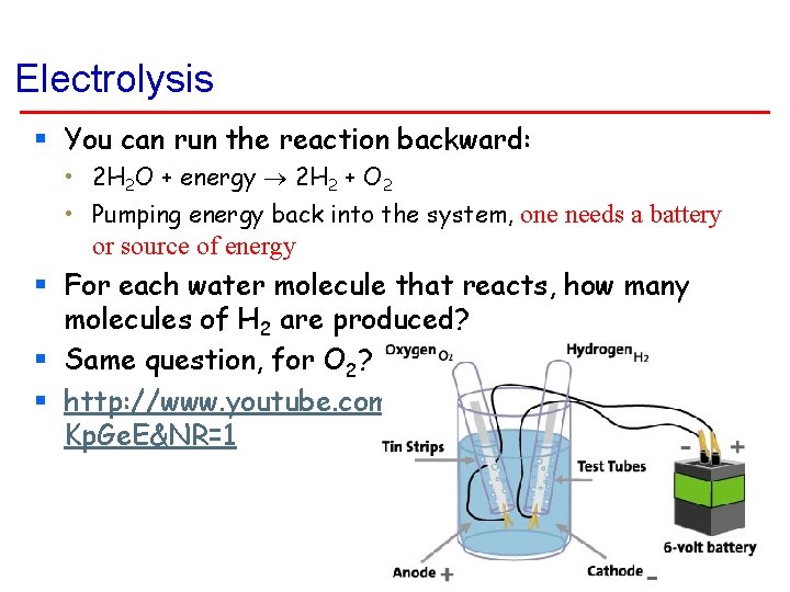 Electrolysis § You can run the reaction backward: • 2 H 2 O + Electrolysis § You can run the reaction backward: • 2 H 2 O +