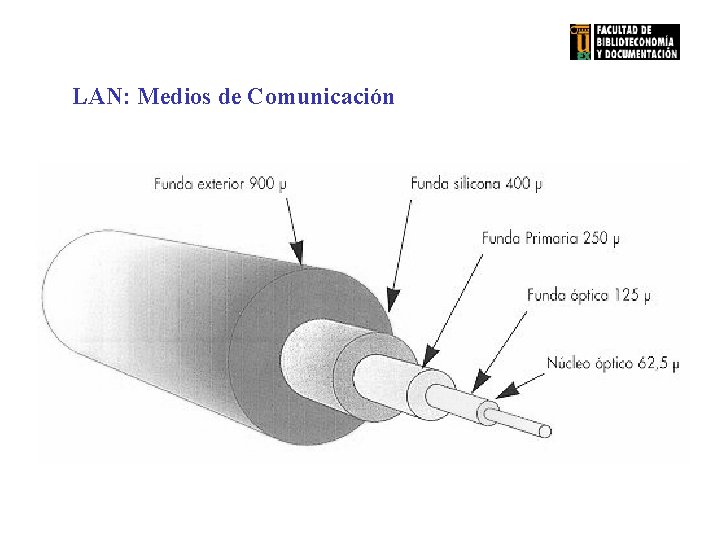 LAN: Medios de Comunicación 