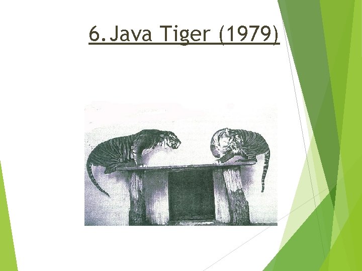 EXTINCT ANIMALS AFTER TH 18 CENTURY Check Out