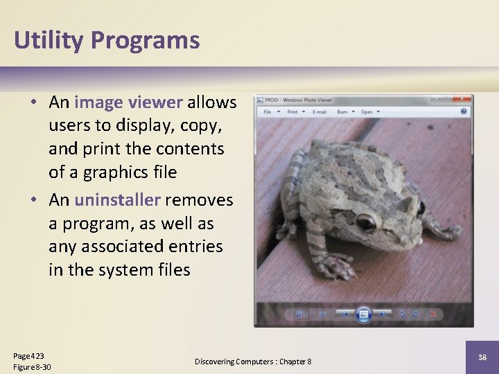 Utility Programs • An image viewer allows users to display, copy, and print the