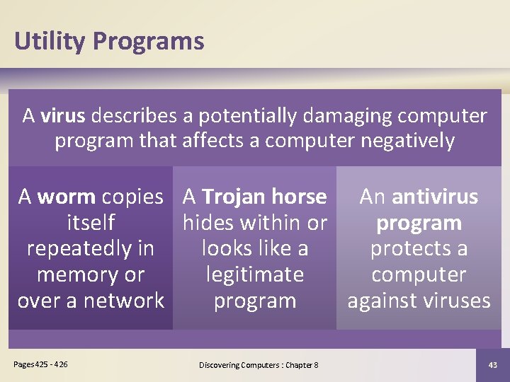 Utility Programs A virus describes a potentially damaging computer program that affects a computer