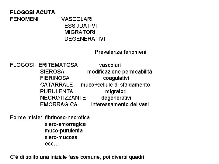 FLOGOSI ACUTA FENOMENI VASCOLARI ESSUDATIVI MIGRATORI DEGENERATIVI Prevalenza fenomeni FLOGOSI ERITEMATOSA vascolari SIEROSA modificazione