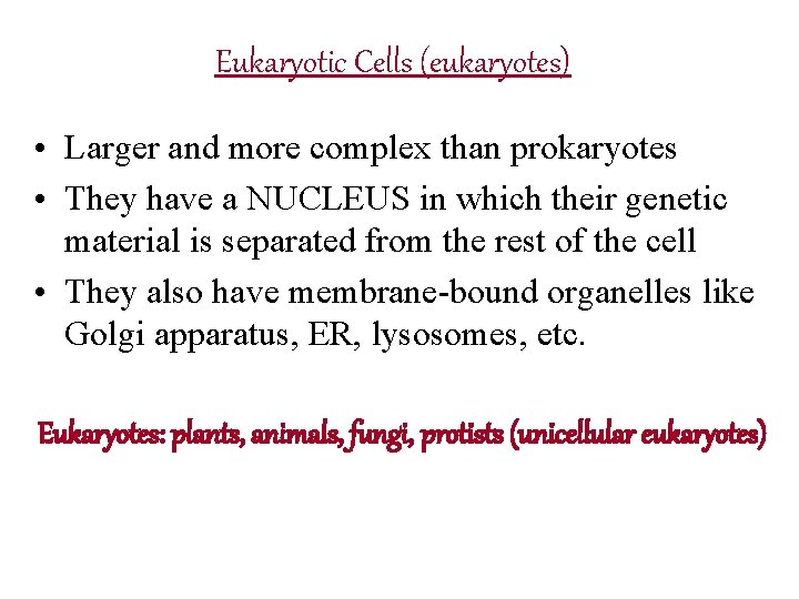 Eukaryotic Cells (eukaryotes) • Larger and more complex than prokaryotes • They have a