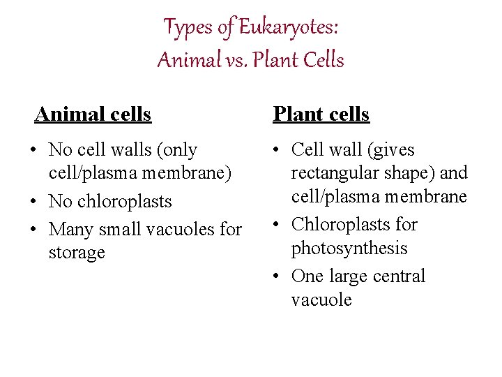 Types of Eukaryotes: Animal vs. Plant Cells Animal cells Plant cells • No cell