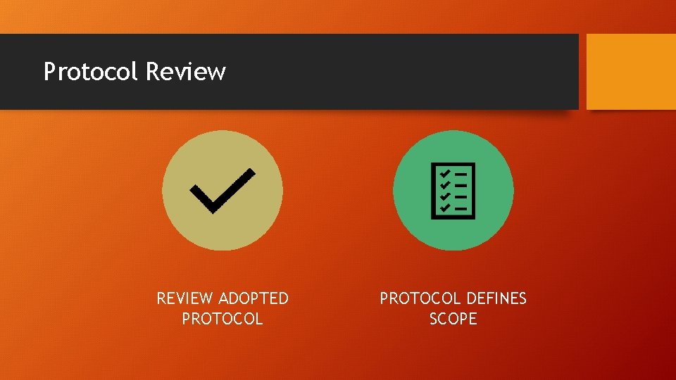 Protocol Review REVIEW ADOPTED PROTOCOL DEFINES SCOPE 