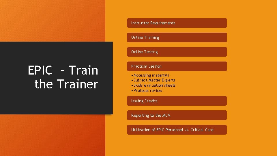 Instructor Requirements Online Training Online Testing EPIC - Train the Trainer Practical Session •