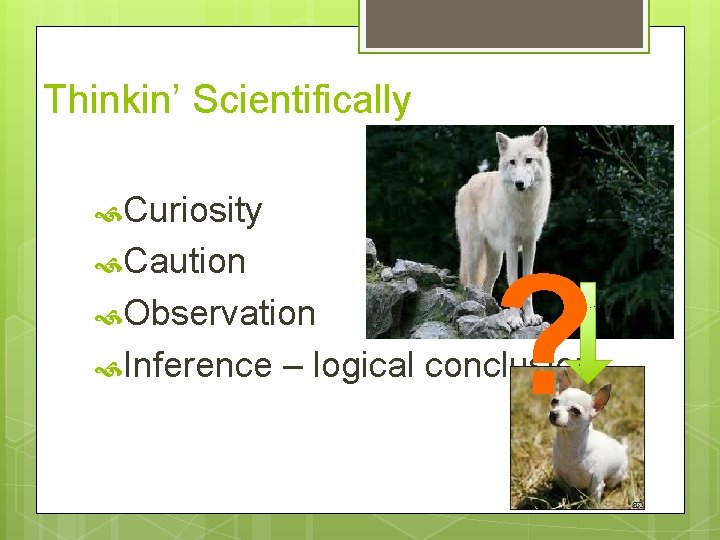 Thinkin’ Scientifically Curiosity Caution Observation Inference ? – logical conclusion 