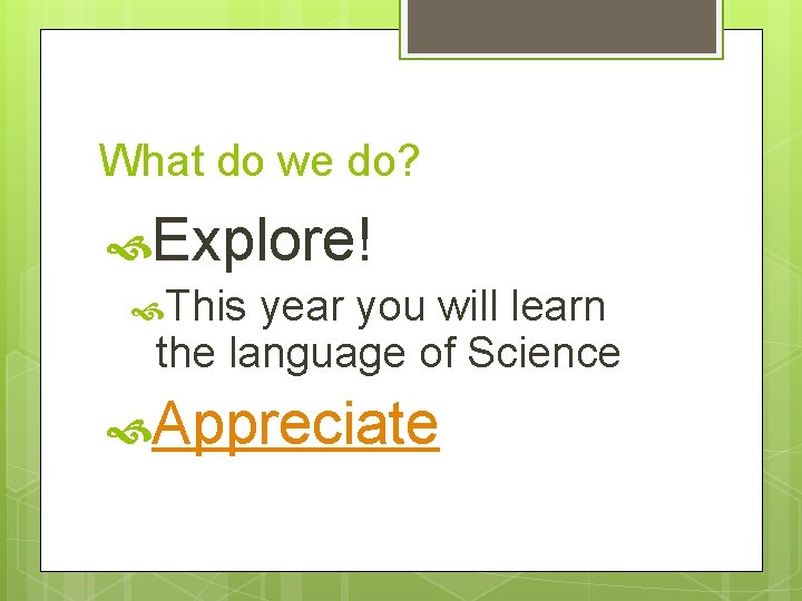 What do we do? Explore! This year you will learn the language of Science