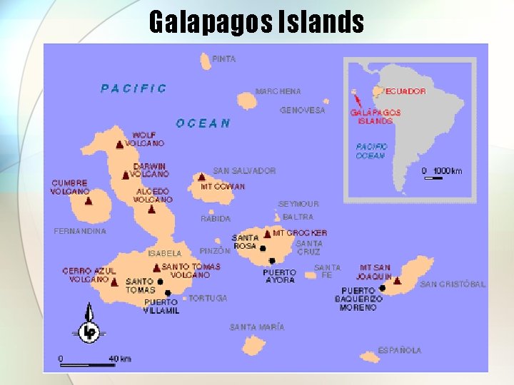 Galapagos Islands 