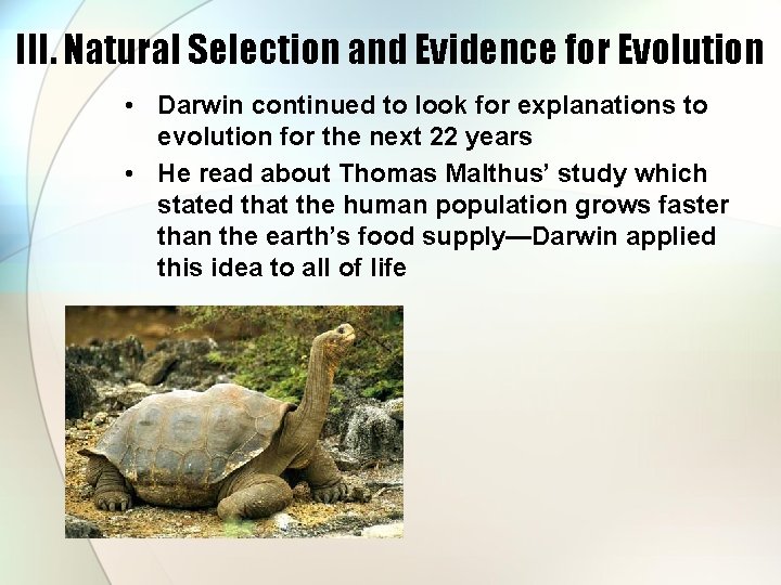 III. Natural Selection and Evidence for Evolution • Darwin continued to look for explanations