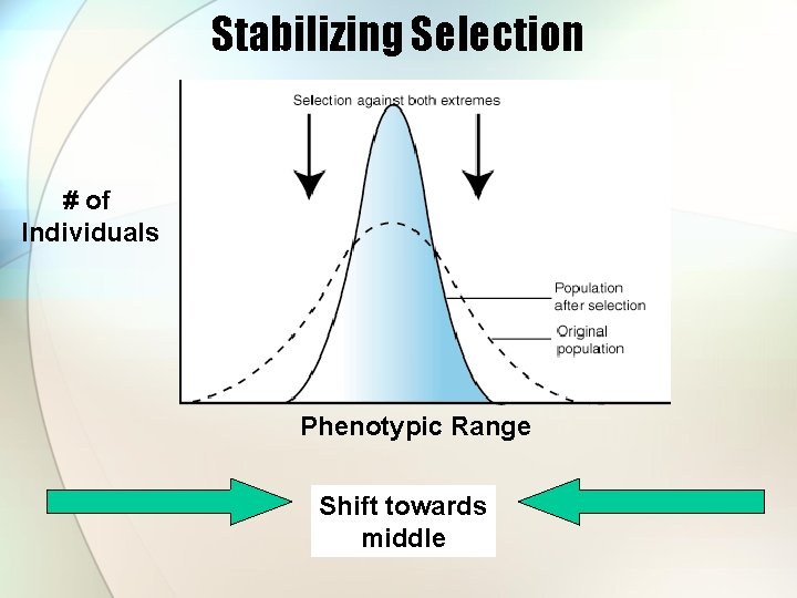 Stabilizing Selection # of Individuals Phenotypic Range Shift towards middle 