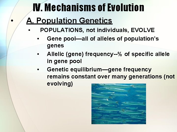 IV. Mechanisms of Evolution • A. Population Genetics • POPULATIONS, not individuals, EVOLVE •