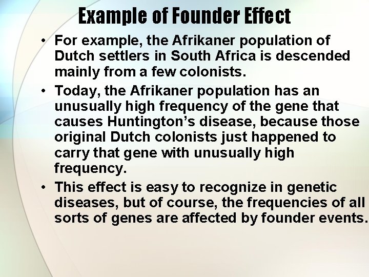 Example of Founder Effect • For example, the Afrikaner population of Dutch settlers in
