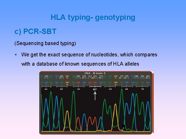 HLA typing- genotyping c) PCR-SBT (Sequencing based typing) We get the exact sequence of