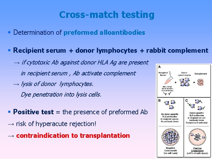 Cross-match testing Determination of preformed alloantibodies Recipient serum + donor lymphocytes + rabbit complement