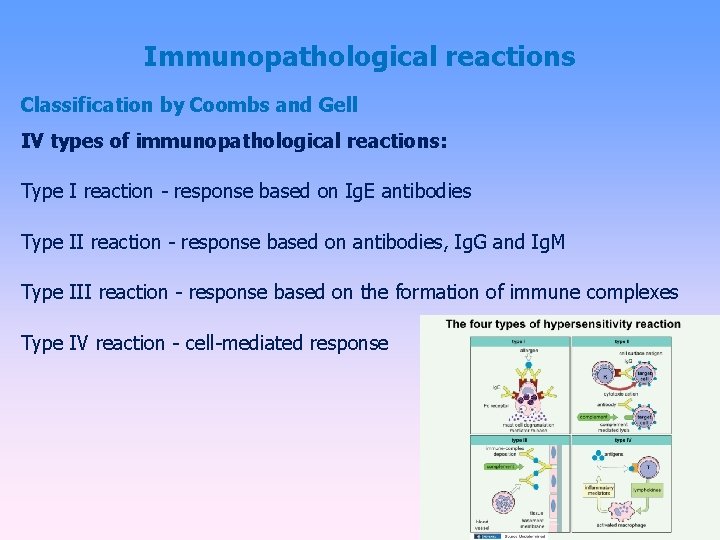 Immunopathological reactions Classification by Coombs and Gell IV types of immunopathological reactions: Type I