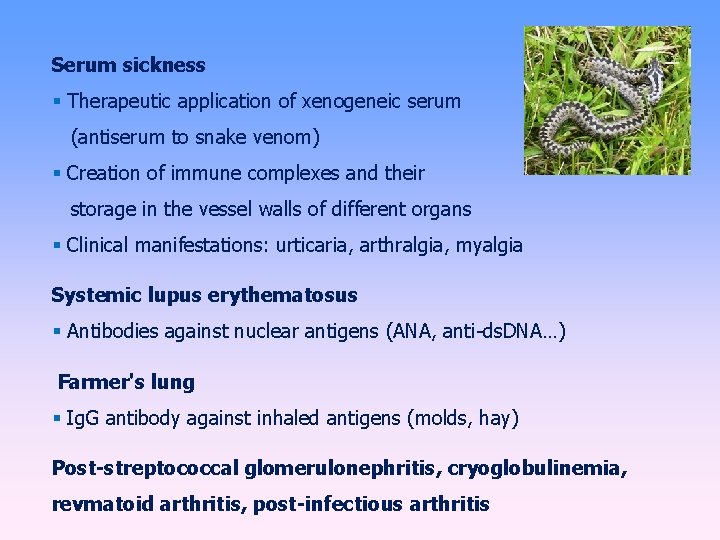 Serum sickness Therapeutic application of xenogeneic serum (antiserum to snake venom) Creation of immune