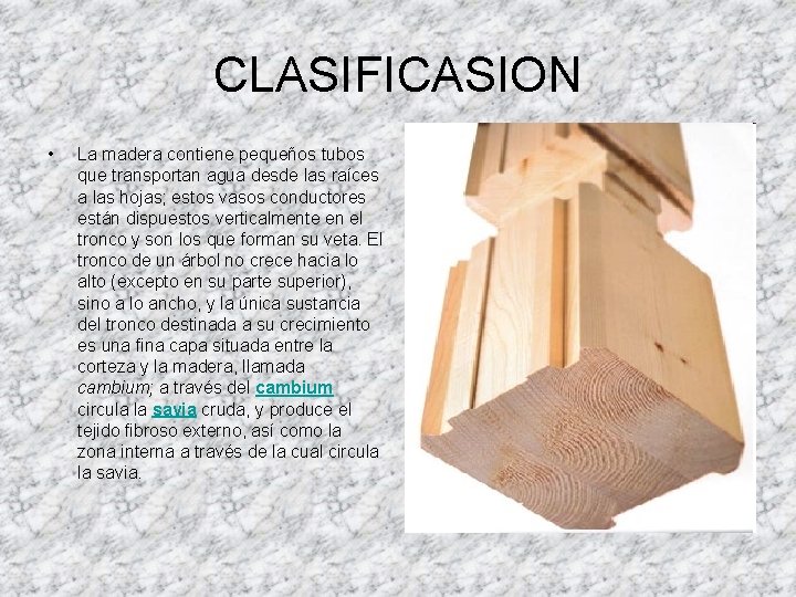 CLASIFICASION • La madera contiene pequeños tubos que transportan agua desde las raíces a
