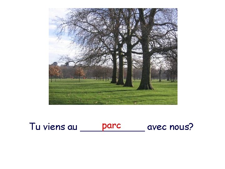 parc Tu viens au ______ avec nous? 