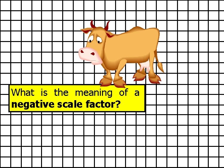 What is the meaning of a negative scale factor? 