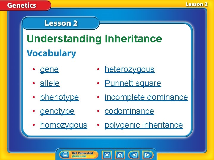 Understanding Inheritance • gene • heterozygous • allele • Punnett square • phenotype •