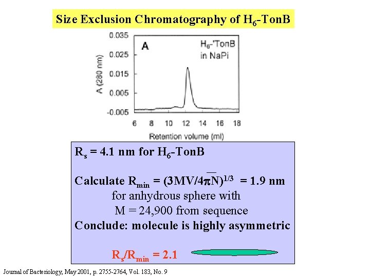 Size Exclusion Chromatography of H 6 -Ton. B Rs = 4. 1 nm for