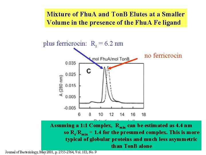 Mixture of Fhu. A and Ton. B Elutes at a Smaller Volume in the