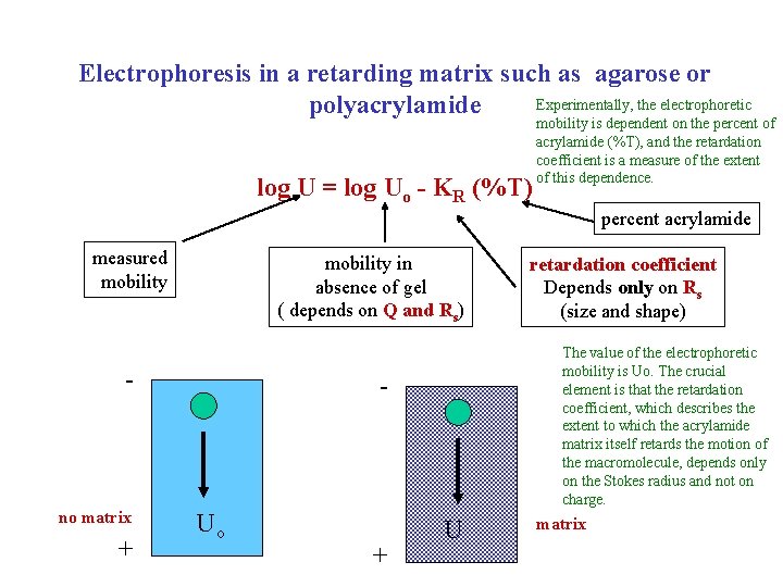Electrophoresis in a retarding matrix such as agarose or Experimentally, the electrophoretic polyacrylamide log