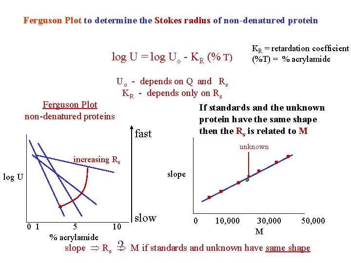 Ferguson Plot to determine the Stokes radius of non-denatured protein log U = log