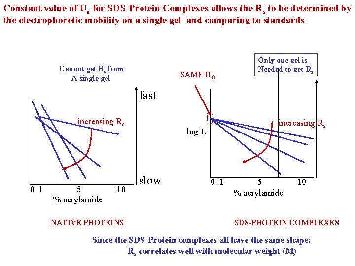 Constant value of Uo for SDS-Protein Complexes allows the Rs to be determined by