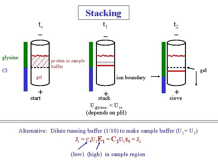 Stacking to _ glycine- t 1 _ t 2 _ protein in sample buffer