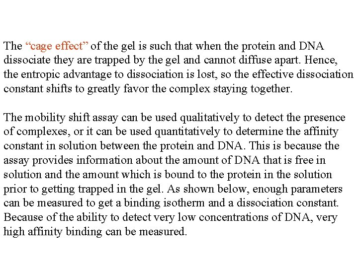 The “cage effect” of the gel is such that when the protein and DNA