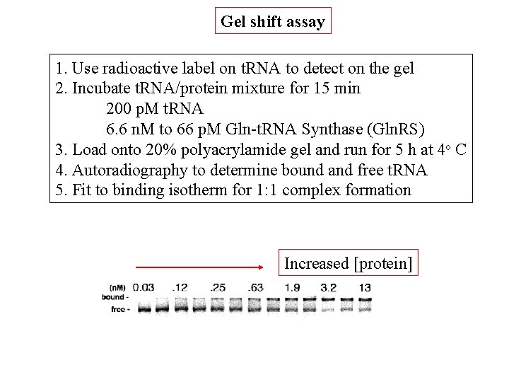 Gel shift assay 1. Use radioactive label on t. RNA to detect on the