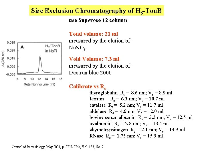 Size Exclusion Chromatography of H 6 -Ton. B use Superose 12 column Total volume: