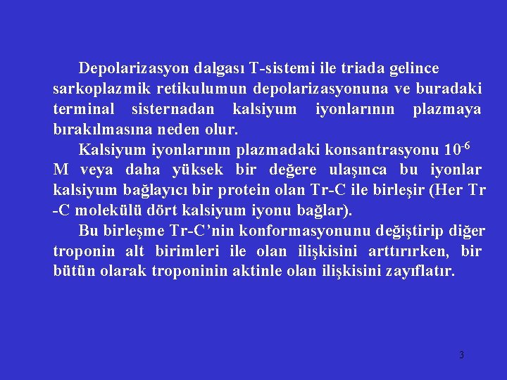 Depolarizasyon dalgası T-sistemi ile triada gelince sarkoplazmik retikulumun depolarizasyonuna ve buradaki terminal sisternadan kalsiyum