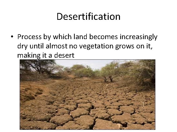 Desertification • Process by which land becomes increasingly dry until almost no vegetation grows