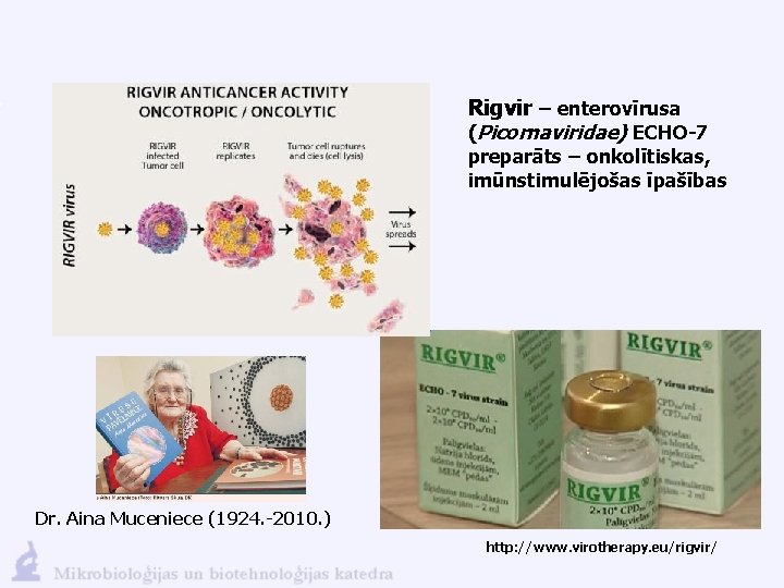 Rigvir – enterovīrusa (Picornaviridae) ECHO-7 preparāts – onkolītiskas, imūnstimulējošas īpašības Dr. Aina Muceniece (1924.