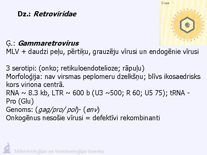 Dz. : Retroviridae Ģ. : Gammaretrovirus MLV + daudzi peļu, pērtiķu, grauzēju vīrusi un